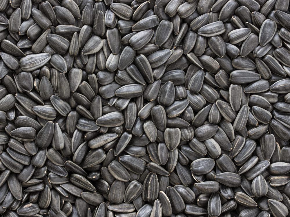 Sunflower Seeds